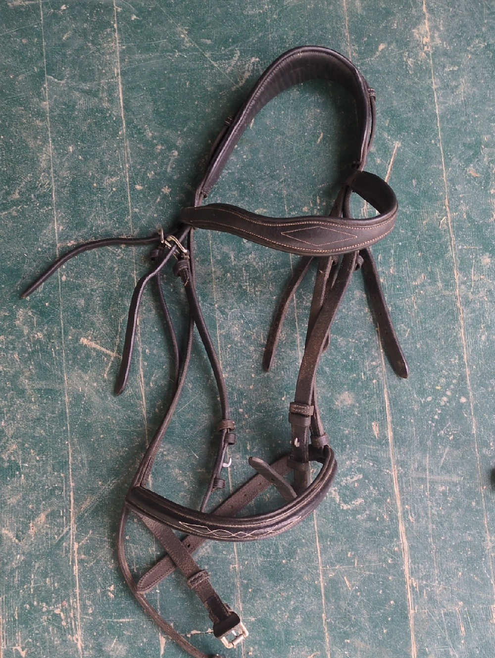Padded Full Size Black Bridle. No Reins